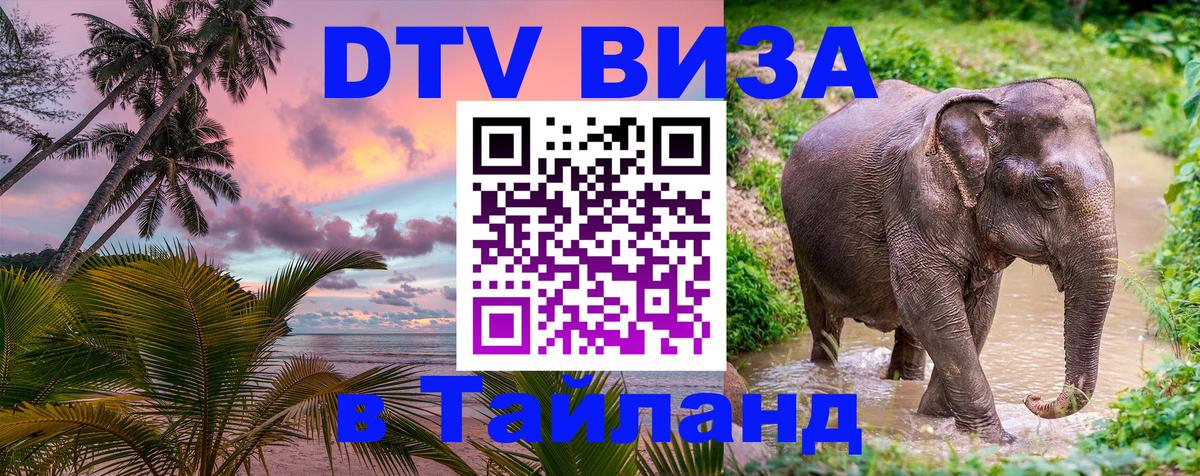Оформление DTV визы под ключ: стоимость и тарифы, только загранпаспорт - 05.10.2025 